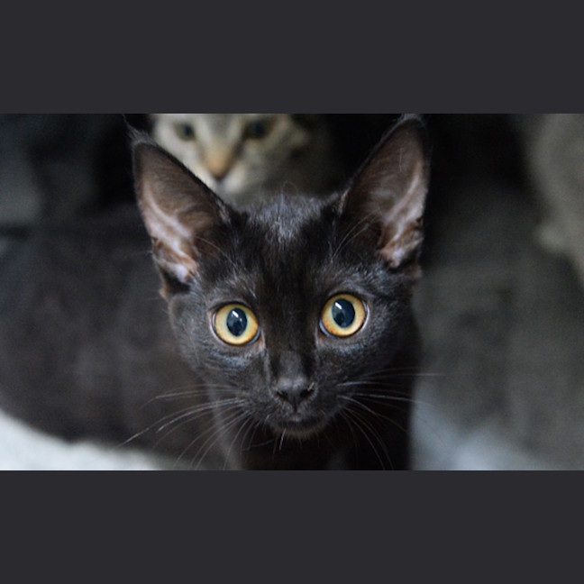 Photo of Audrey