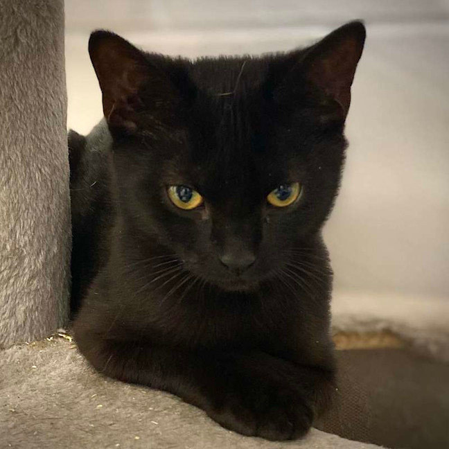 Photo of Boris