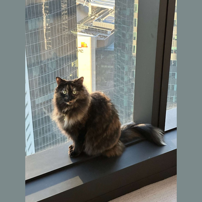 Photo of 🏴‍☠️ Pirate & Pearl 🏴‍☠️