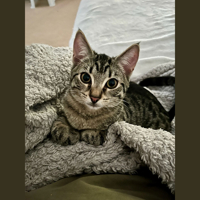 Photo of Ashley