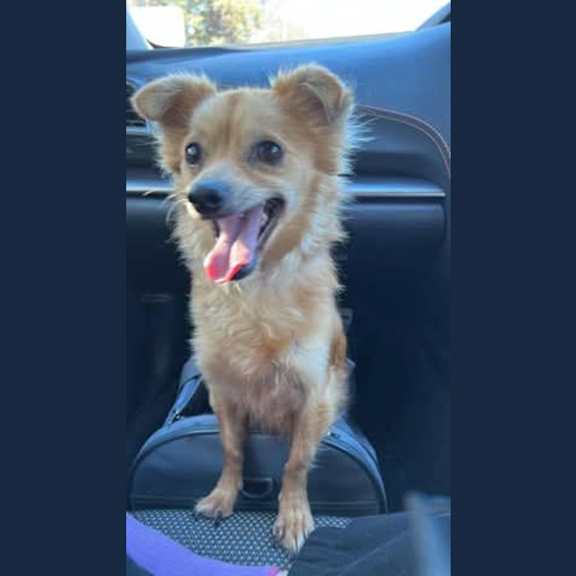 Photo of Buster