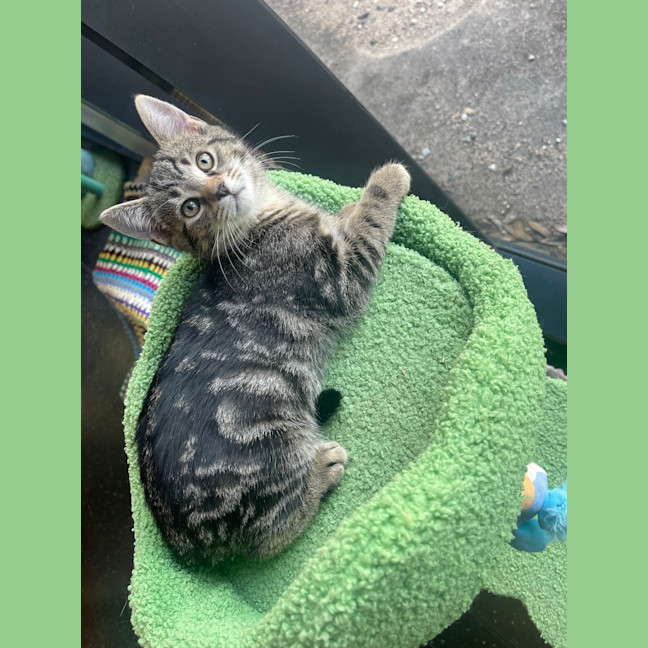 Photo of Mr. Wiggle
