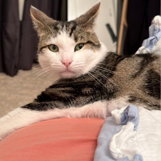 Photo of Bobby