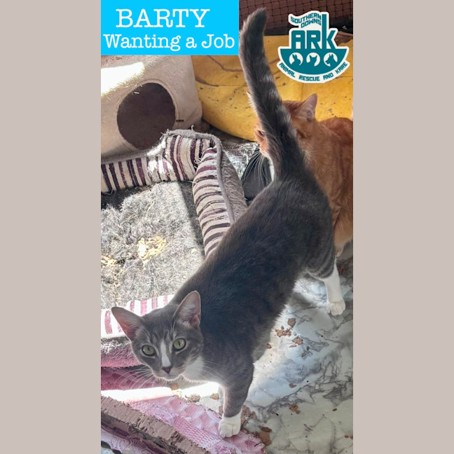 Photo of Ron & Barty
