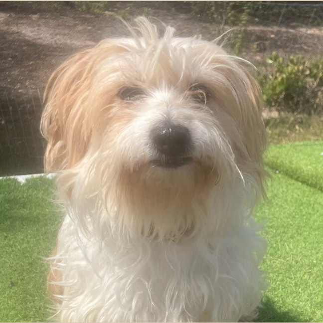 Photo of Sweetie Aka Suzi