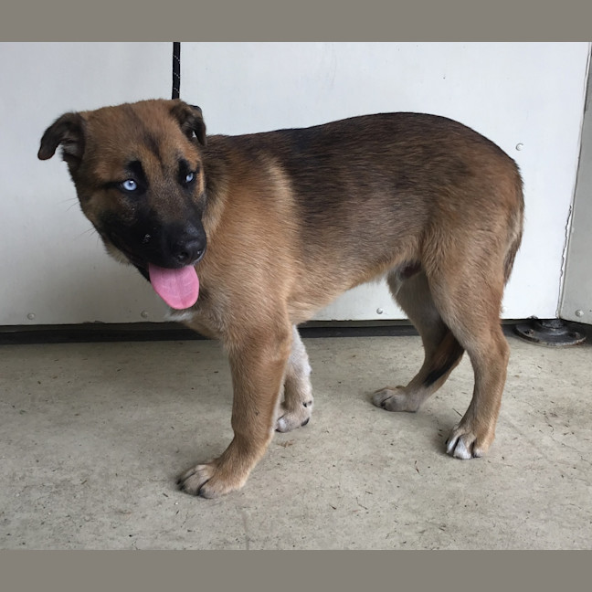 Photo of Tommy Pickles