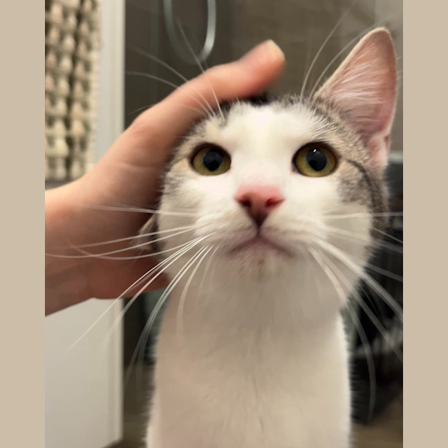 Photo of Annie
