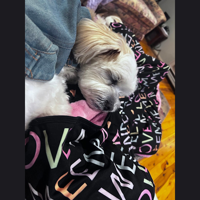 Photo of Miki