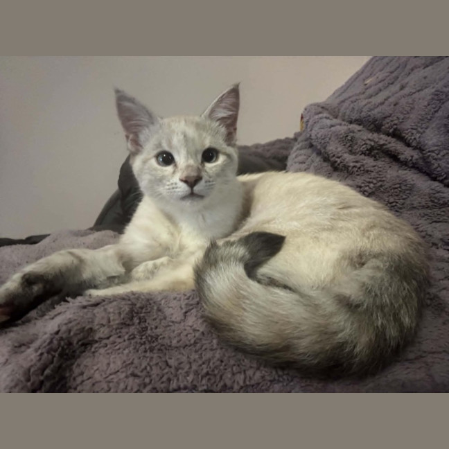 Photo of Rowena