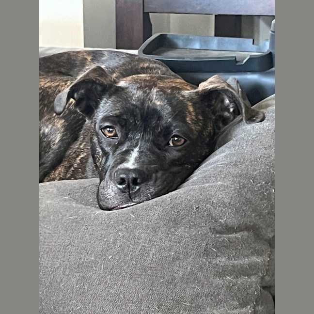 Photo of Daisy Haliwell