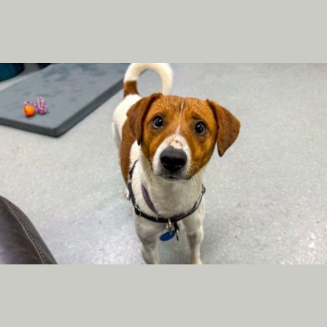 Photo of Timmy 