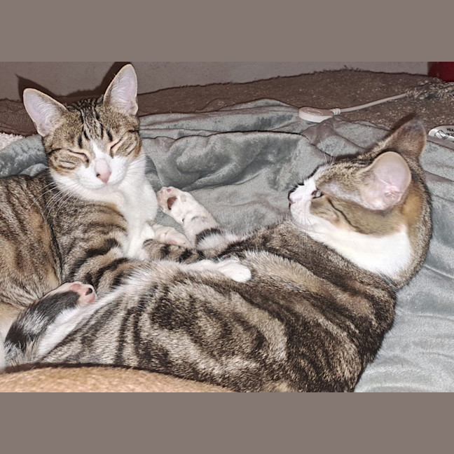 Photo of Everhart & Fairlight