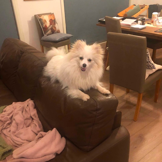 Photo of Pearl
