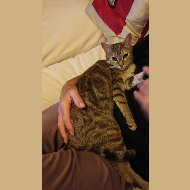 Photo of Jellycat
