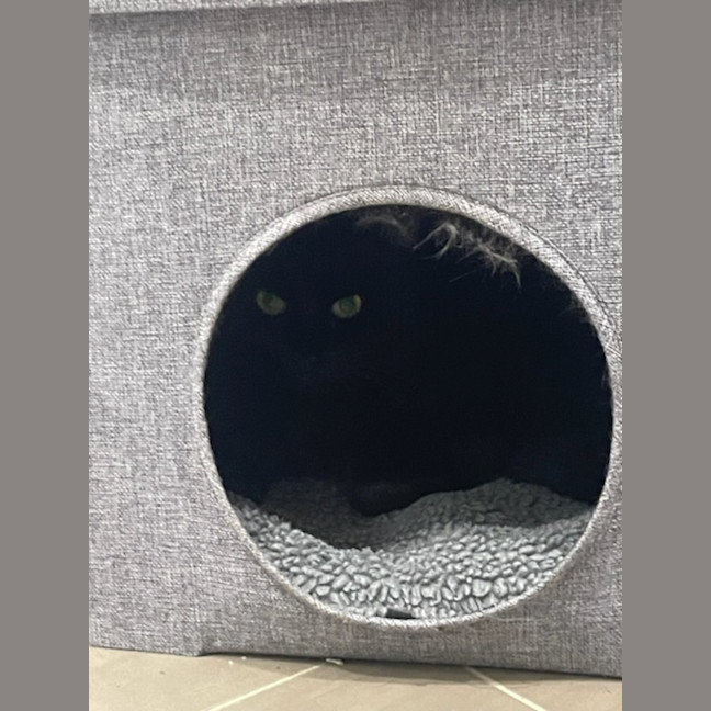 Photo of Jet