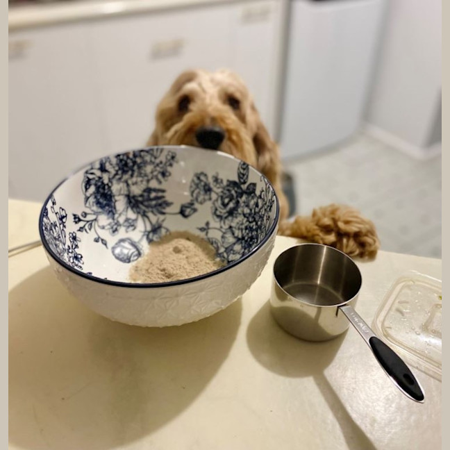 Photo of Shari Jablonski