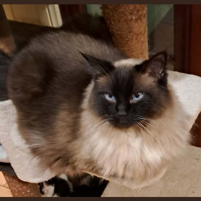 Photo of Hamish 
