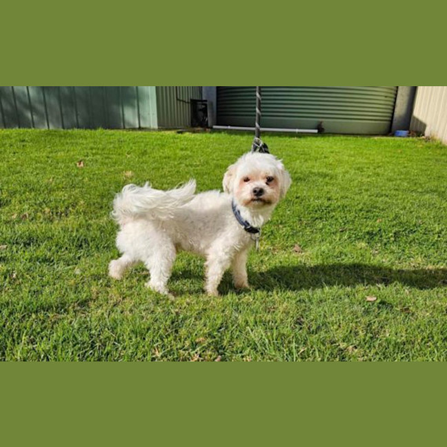 Photo of Bobby