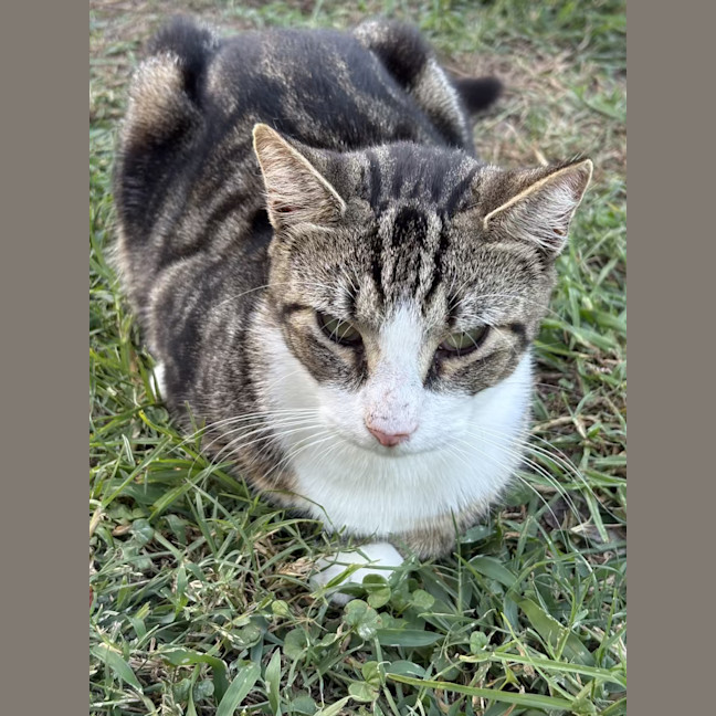 Photo of Apollo And Artemis