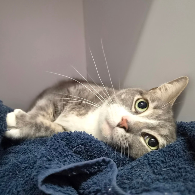 Photo of Jasper