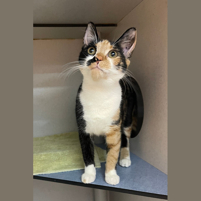 Photo of Ruby