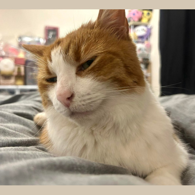 Photo of Charlie 