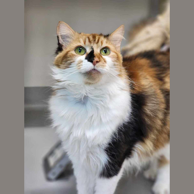 Photo of 🥂 Clicquot 5748 🥂