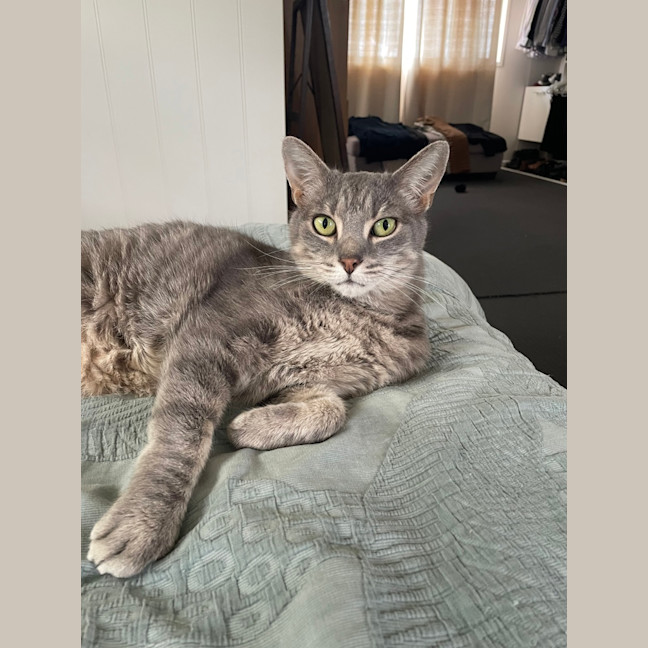 Photo of Bosley
