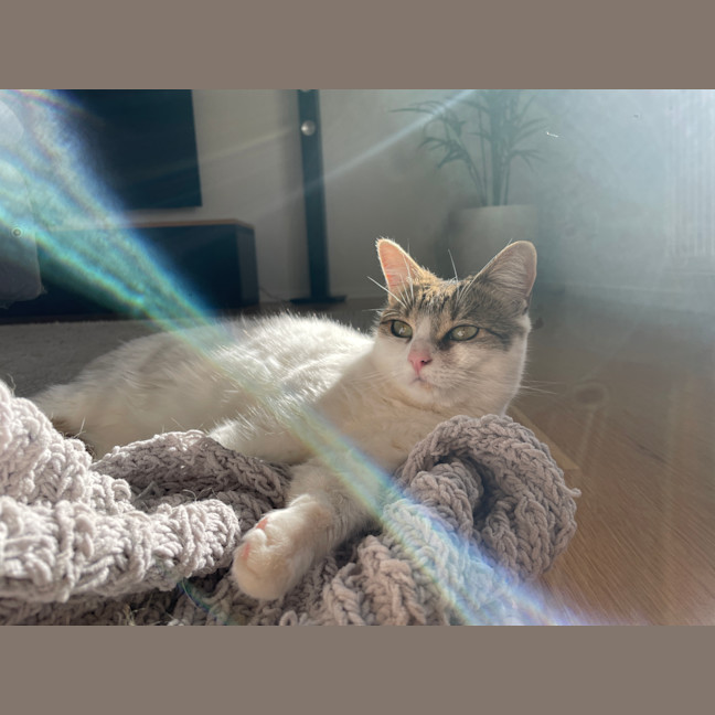 Photo of Chuba