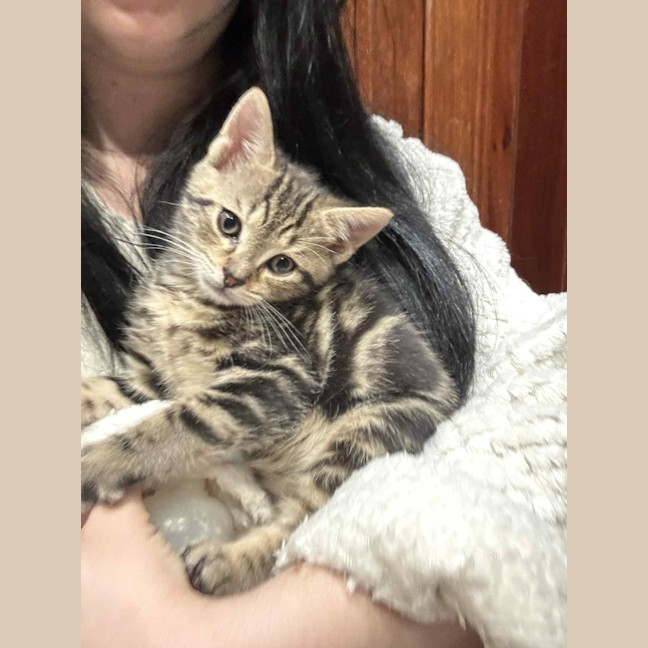 Photo of Mac   Located In Preston