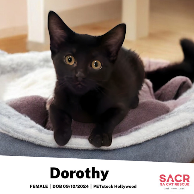 Photo of Dorothy