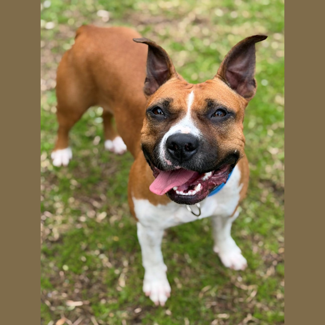 Photo of Bingo