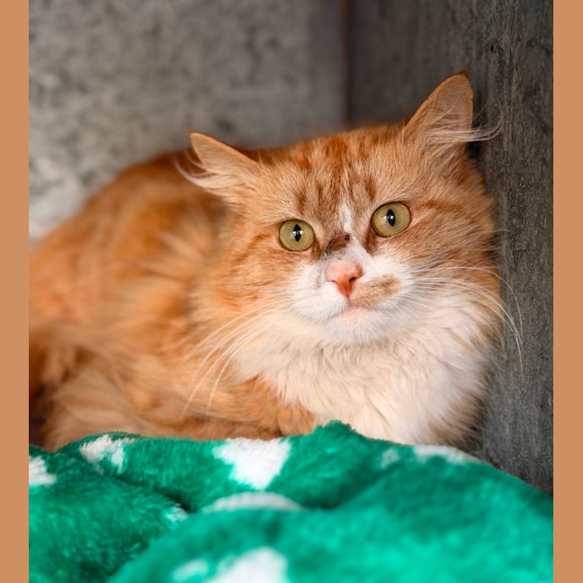 Photo of O'malley