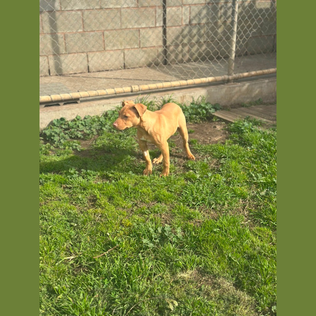 Photo of Benny