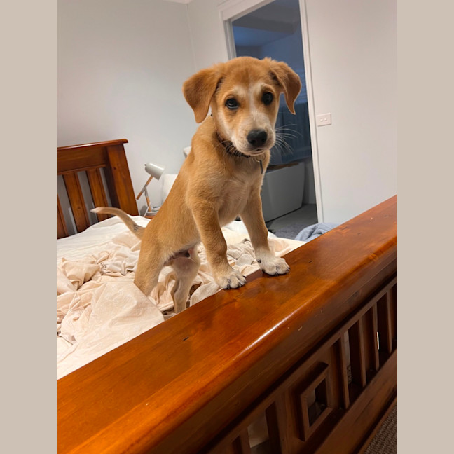 Photo of Major