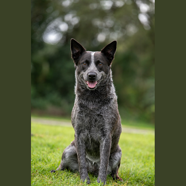 Photo of Tia