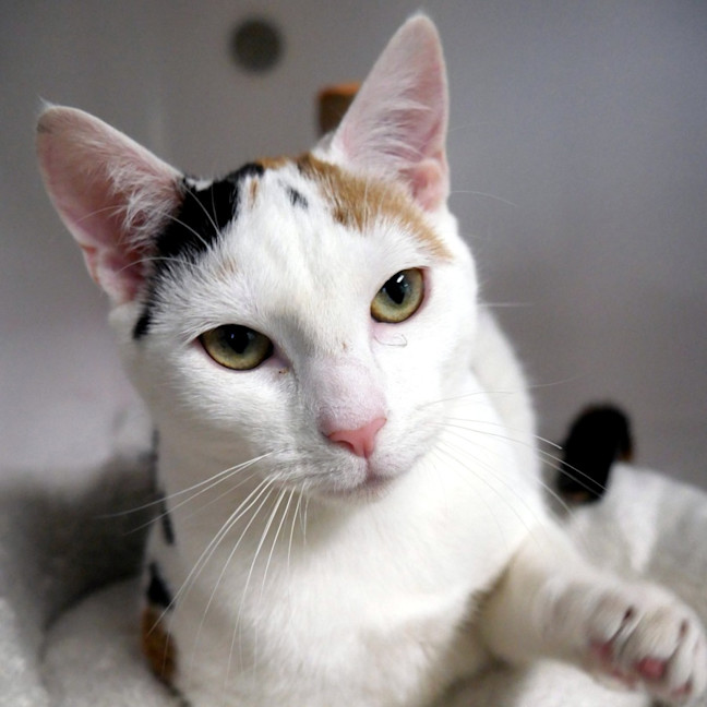 Photo of Sally Stk015696