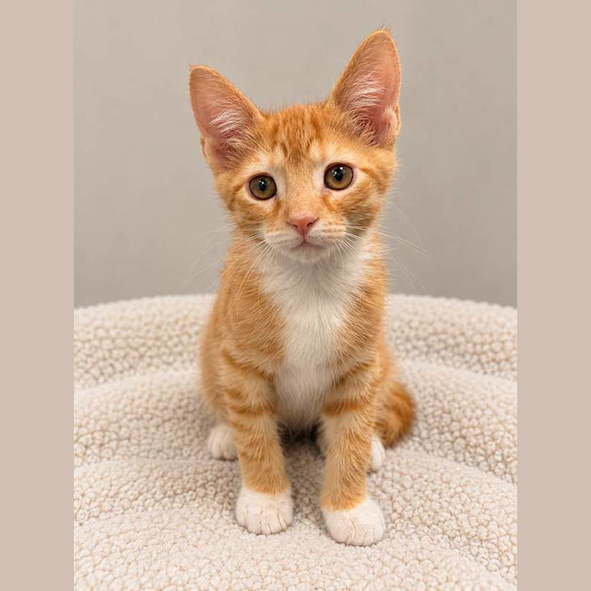 Photo of Ralph
