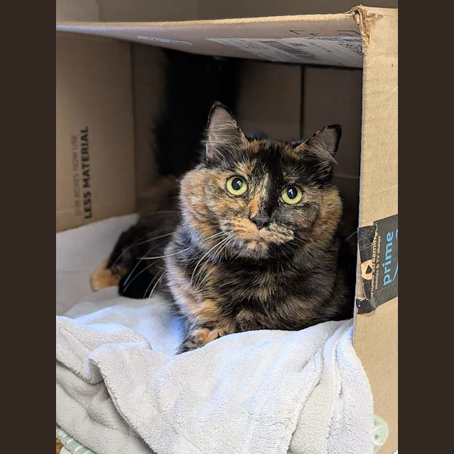 Photo of Nala