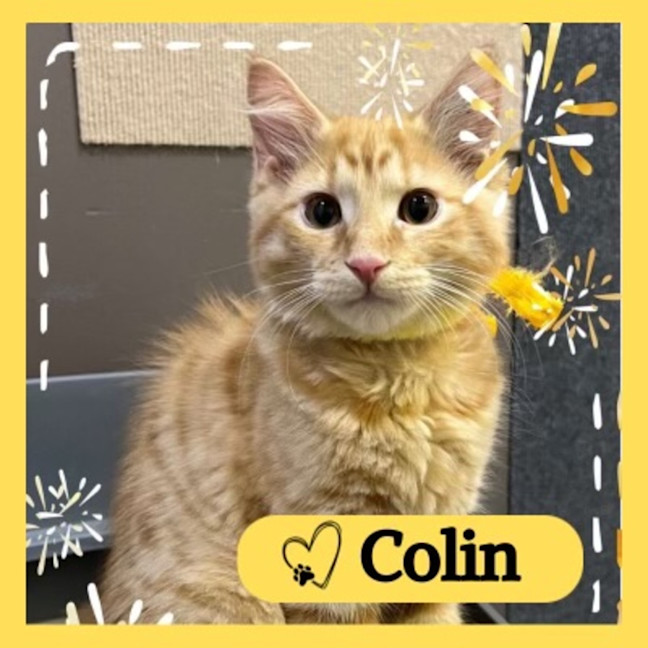Photo of Colin
