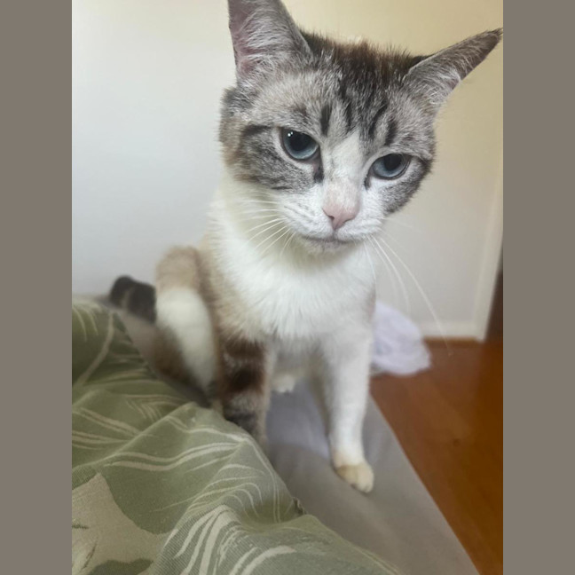 Photo of Lucy 