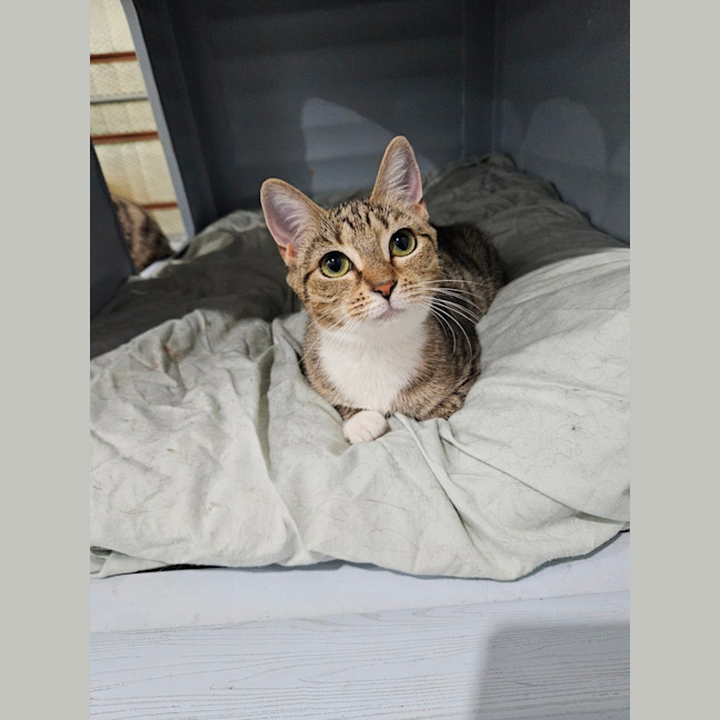 Photo of Leyla