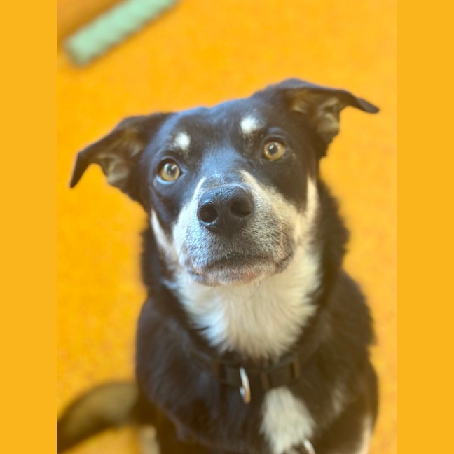Photo of Spirit