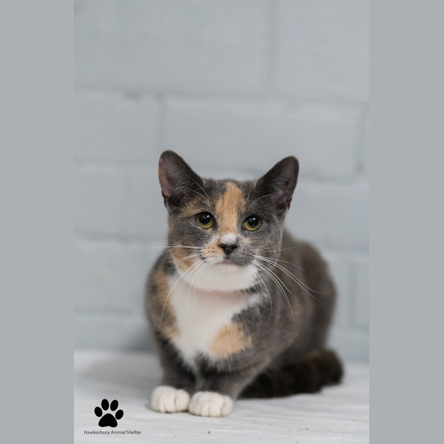 Photo of Chloe