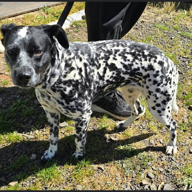 Photo of Zena