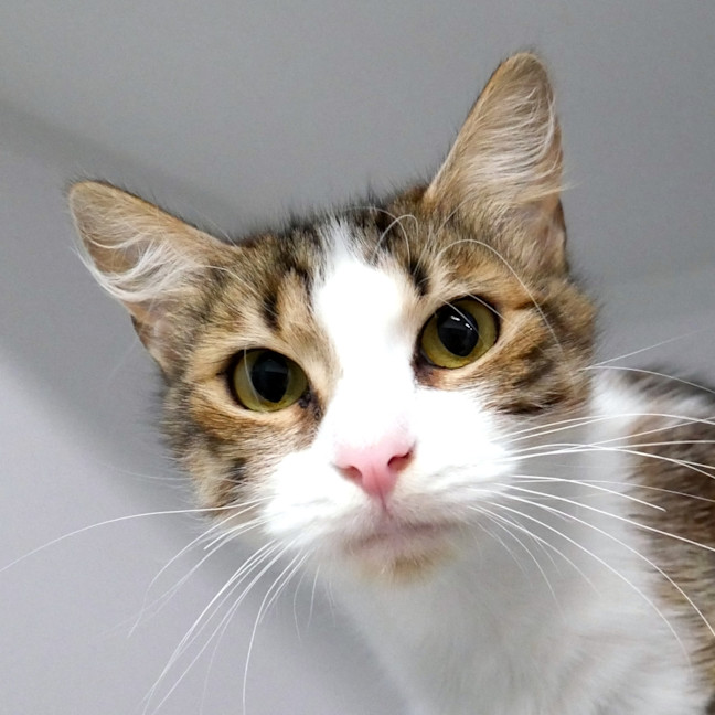 Photo of Valerie Sta014572