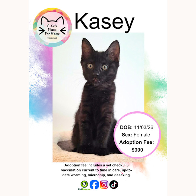 Photo of Kasey
