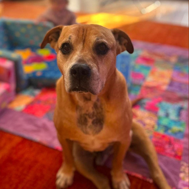 Photo of Roy