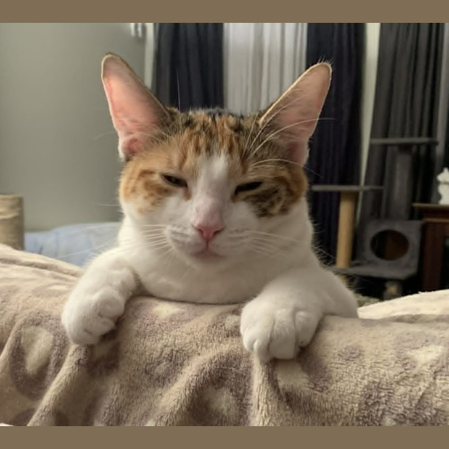 Photo of Dottie