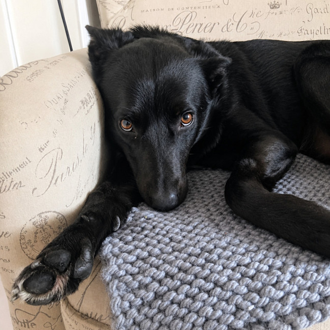 Photo of Max